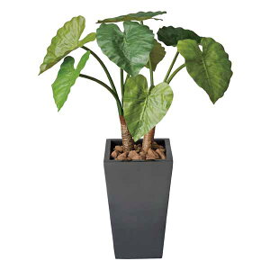 G} ϗtA lHA tFCNO[ A[gO[  O[ tFCN lHϗtA ItBX j _CjO v[g X fBXvC R i` L r