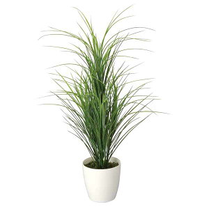 G} ϗtA OXc[ 78cm tA^Cv ~hTCY lHϗtA A[gO[ tFCNO[  ̊y CeA zAfqh L lHA h  