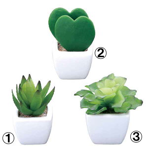 G} ϗtA v`n[g3_Zbg ~jϗtA e[u^Cv tFCNO[ ~j lHϗtA A[gO[ CeA ̓Mtg lHA ̊y v[g  