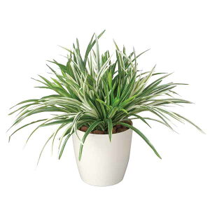 G} fXN ϗtA hZi~bNX 38cm e[u^Cv tFCNO[ lHϗtA ̓  A[gO[ ̓Mtg ~jϗtA ~j  v[g lHA 