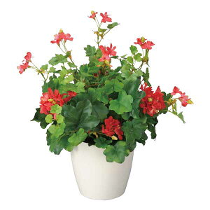 G} fXN ϗtA [j[ 45cm e[u^Cv ~j lHϗtA ̊y R zAfqh L h ~jϗtA  tFCNO[  A[gO[ C