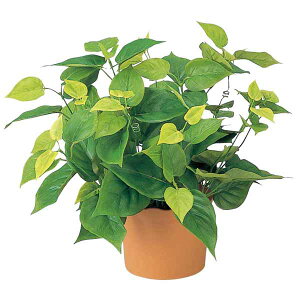 G} ϗtA ~j  tFCN O[ C|gX 36cm e[u^Cv ̓Mtg lHA JtF A[gO[ ̊y v[g Mtg tFCNO[  G