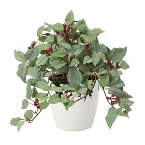 G} ϗtA [itbNHj 25cm e[u^Cv ~j ~jϗtA A[gO[ tFCNO[  ̊y zAfqh A v[g lHA  