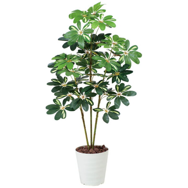 楽天市場 光触媒 観葉植物 人工植物 フェイクグリーン 人工観葉植物 アートグリーン 造花 グリーン 抗菌 リビング インテリア 除去 ホルムアルデヒド おしゃれ 店舗 ディスプレイ ナチュラル ダイニング 玄関 オフィス プレゼント 贈り物 引っ越し祝い お祝い 新築祝い