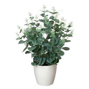 G} ϗtA ~j A[gO[ tFCNO[O[ A[g tFCN O[ lHϗtA L lHA v[g Mtg ItBX CeA rO ̓ lH h 