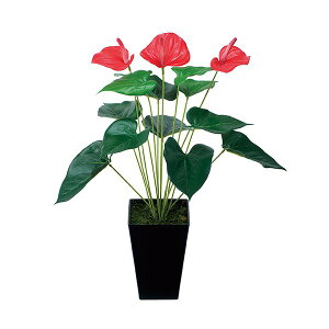 G} tFCNO[   e[u ~jO[ ~j|bg  ϗtA  lHϗtA C zAfqh L lHA h A[gO[ C R lH