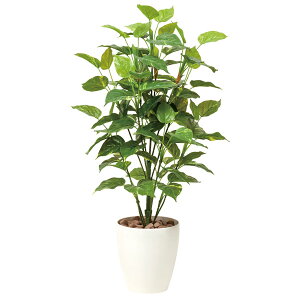 G} ϗtA lHA tFCNO[ A[gO[  O[ lHϗtA R ItBX i` fBXvC  JtF L CeA j  蕨 X