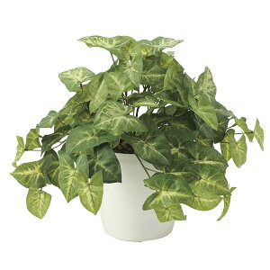 lHϗtA G} ϗtA ~j tFCNO[ CeA C~e[VO[ CeAO[ _ v[g lHA A tFCN O[ tbVJ[W