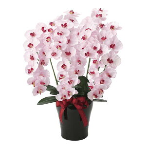 Ӓ G} ϗtA t[ R`E sN  ͂Ȃ  GgX  Mtg j hV̓ G} ̓ 蕨 LO X JXj AWg v~A