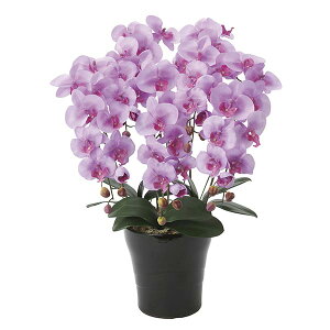 Ӓ G} ϗtA t[ R`E  p[v  ͂Ȃ L NC[Ӓ5{L ̓   hV̓ AWg tFCNt[  R CeA z