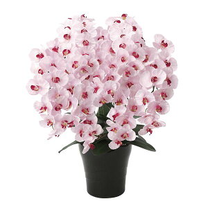 Ӓ G} ϗtA t[ R`E sN  ͂Ȃ  L tFCNt[   hV̓ AWg ̓ v~AӒ7{P LO R CeA z