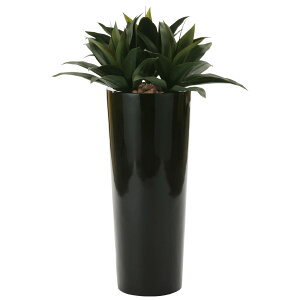 G} tFCNO[ ͂Ȃ ϗtA L R lHϗtA h 105cm LO CeAO[ X rO O[  tFCN i` C~e[V ̓ z