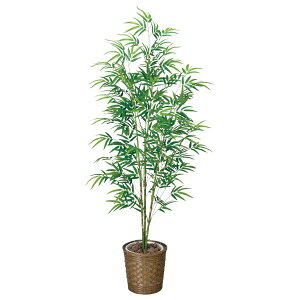 光触媒 大型 人工観葉植物 観葉植物の人気商品 通販 価格比較 価格 Com 光触媒 大型 人工観葉植物 観葉植物の人気商品 通販 価格比較 価格 Com