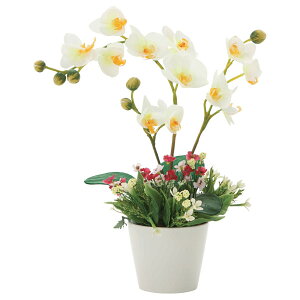 tFCNO[ G} ϗtA tFCN CeA A[gO[ C~e[VO[ C~e[V A j t[Mtg ~bNXR`E Mtg ̓ 