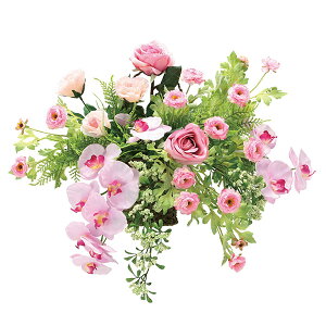 G}  ϗtA A[gt[ tFCN t[ lHA ͂Ȃ Ǌ| R  o  KN L hV̓ sN tFCNt[ [Y ̓ fBXvC ǖ Ce