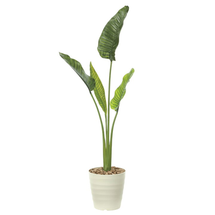 楽天市場 人工観葉植物 観葉植物 屋外対応 フェイクグリーン インテリア 人工植物 高さ160cm 屋外庭園 オーガスタ 植栽 Atom Diy