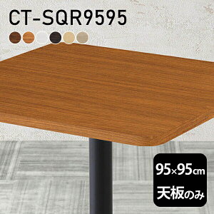 e[u e[uV V̂ DIY 95 s95 k { Vv  ItBX _CjO rO e[N  ` CT-SQR9595 ؖ 