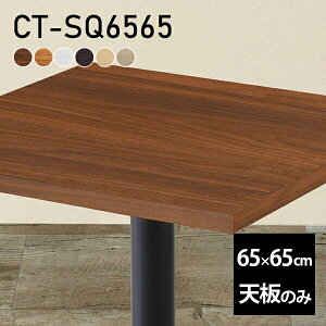 fXN V V̂ DIY 65 s65 { k Vv  _CjO rO l炵 ݑ[N X  ` CT-SQ6565 ؖ 