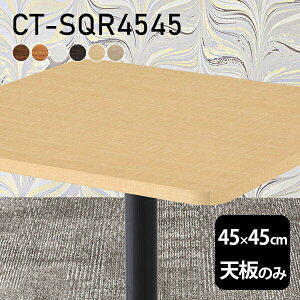 fXN e[uV V̂ DIY 45 s45 { k  ItBX _CjO rO l炵 ݑ X  ` CT-SQR4545 ؖ 