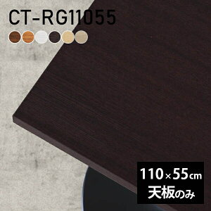 e[u fXN V̂ DIY 110 s55 k { rO ItBX _CjO q ݑ[N X [g  ` CT-RG11055 ؖ 