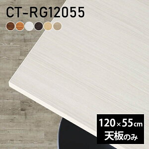 fXN V V̂ e[u DIY 120 s55 k {  Vv ItBX _CjO rO ݑ[N  ` CT-RG12055 ؖ 