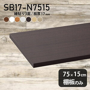 �I�� ���ύ��� �I�̂� �ؐ� ��75cm ���s��15cm DIY �I ������� �V���v�� ��17mm �N���[�[�b�g�I �ǖʒI �V�ɂ� �C���e���A ���{�� �k�� SB17-N7515 �ؖ� ��