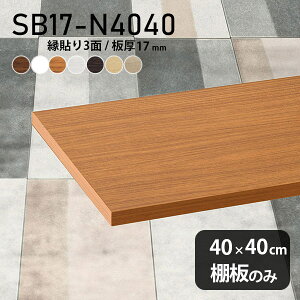 棚板 化粧合板 棚板のみ 幅40cm 奥行き40cm 日本製 おしゃれ DIY 板厚17mm クローゼット棚 木製 壁面棚 天板にも インテリア 北欧 シンプル SB17-N4040 木目 ★