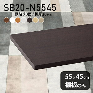 棚板 化粧合板 棚板のみ 木製 幅55cm 奥行き45cm DIY 棚 おしゃれ シンプル 板厚20mm 北欧 クローゼット棚 日本製 壁面棚 インテリア 天板にも SB20-N5545 木目 ★