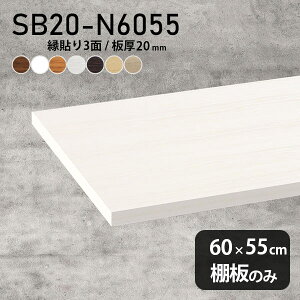 I ύ I̂ 60cm s55cm  Vv DIY I 20mm N[[bgI ؐ ǖʒI Vɂ CeA { k SB20-N6055 ؖ 