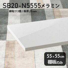 棚板 ホワイト メラミン樹脂化粧合板 棚板のみ 幅55cm 奥行き55cm 高級感 シンプル DIY 棚 おしゃれ 鏡面 板厚20mm クローゼット棚 木製 壁面棚 日本製 北欧 ラグジュアリー インテリア プレミアム 天板にも SB20-N5555 nail ★