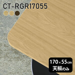 V V̂  C e[u  ݑ 170cm DIY pے` _CjO [g e[N rO  ؐ { CT-RGR17055 ˔ 