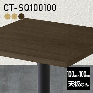 V V̂  C  [NfXN 100cm DIY ` [g e[u ݑ e[N Z^[e[u  ؐ { CT-SQ100100 ˔ 