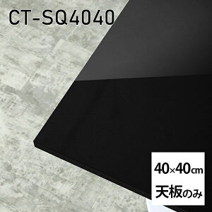 V V̂   ~ ~ϔ ݑ 40cm DIY ` [g e[u l炵 Z^[e[u  { CT-SQ4040 black 