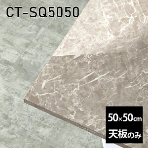 V V̂   ~ 嗝Ε ݑ 50cm DIY ` [g e[u  l炵 Z^[e[u  { CT-SQ5050 GS 