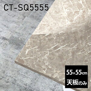 V V̂   ~ 嗝Ε CeA ݑ 55cm DIY ` e[u l炵 Z^[e[u  { CT-SQ5555 GS 