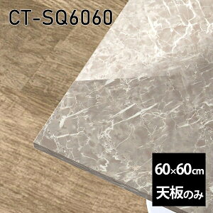 V V̂   ~  ݑ 60cm DIY ` [g e[u  l炵 Z^[e[u  { CT-SQ6060 GS 