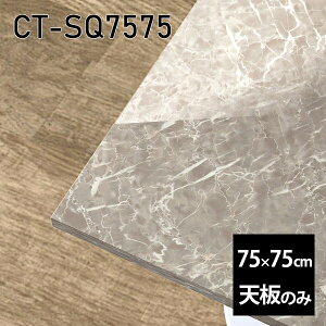 V V̂   ~ 嗝  [NfXN 75cm DIY ` [g ݑ e[N Z^[e[u  { CT-SQ7575 GS 