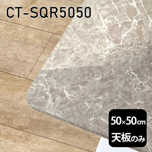 V V̂   ~ 嗝  ݑ 50cm DIY ` [g e[u  l炵 Z^[e[u  { CT-SQR5050 GS 