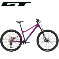 楽天市場】マウンテンバイク（カラーパープル）（自転車・サイクリング 