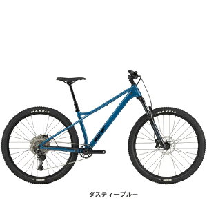 GT ZASKAR LT ELITE �U�X�J�[ LT �A���C �G���[�g 29�C���` �O���[�� �}�E���e���o�C�N