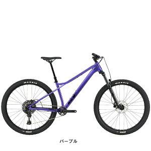 GT ZASKAR LT COMP ZASKAR LT COMP �U�X�J�[ LT �A���C �R���v 29�C���` �W�F�C�h �}�E���e���o�C�N