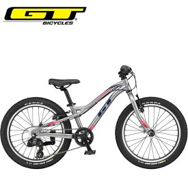 GT キッズ 子供 自転車 ストンパー プライム 20 STOMPER PRIME 20 V2 シルバー 20インチ