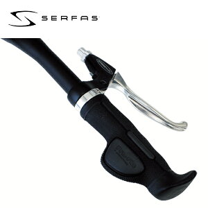 SERFAS T[t@X Obv vt[ 441421 bNI PFGubN