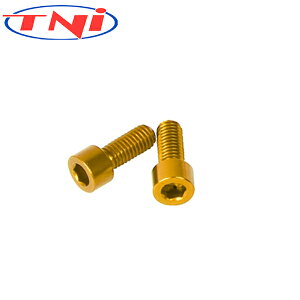 TNI (eB[GkAC) {gP[WE{g 2P S[h A~ {gQ[W {g