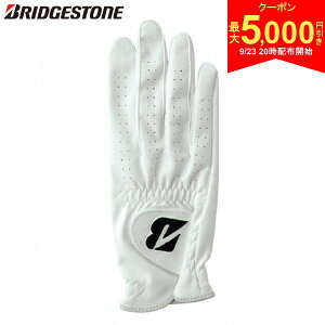 y2320Jn!ő5,000~N[|IzyEpzuaXg GLG13 cA[ StO[u zCg(WH)