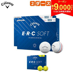 y2020Jn!ő9,000~N[|IzyzLEFC EEREC SOFT St{[ 2_[X/24