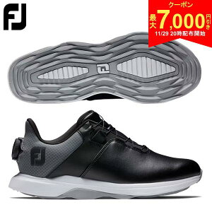 y2920Jn!ő7,000~N[|IzyfB[XztbgWC 98213 vCg {A XpCNX StV[Y ubN×O[