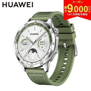 y420Jn!ő9,000~N[|Izt@[EFC WATCH GT4 46mm PNX-B19 Stir@\ X}[gEHb` O[