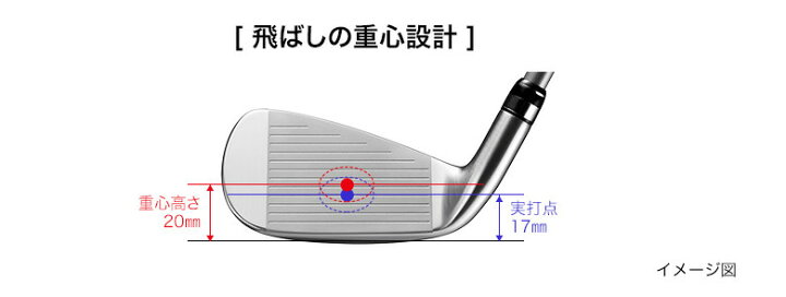楽天市場】プロギア ニューエッグ アイアンセット 8本組(6-P,A,AS,S 