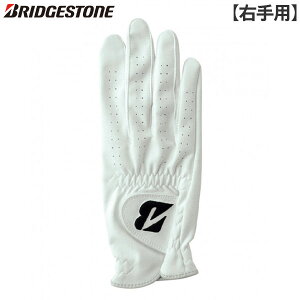 yEpzuaXg GLG13 cA[ StO[u zCg(WH)